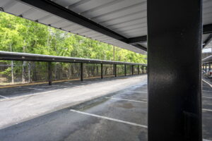 Copy of 27-web-or-mls-Palms_027