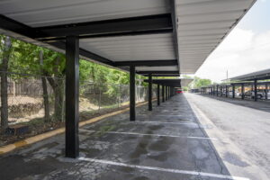 Copy of 29-web-or-mls-Palms_029