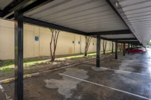 Copy of 32-web-or-mls-Palms_032