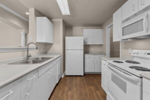 Copy of 5-web-or-mls-River Stone Before_05