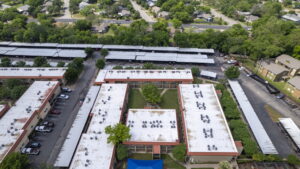 Copy of 6-web-or-mls-Palms_006