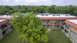 Copy of 8-web-or-mls-Palms_008